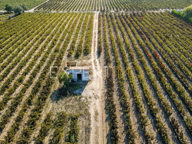 Terreno R�stico - Palmela, Palmela, Set�bal - Imagem grande