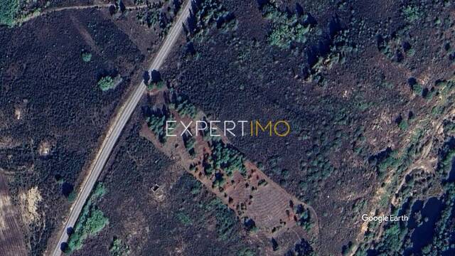 Terreno R�stico - Arcozelo, Gouveia, Guarda - Imagem grande