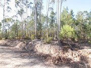 Terreno Rstico - Matas, Ourm, Santarm - Miniatura: 1/4