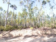 Terreno Rstico - Matas, Ourm, Santarm - Miniatura: 3/4