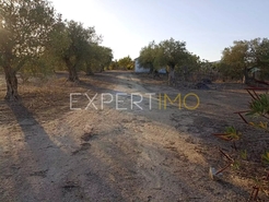 Terreno R�stico - N�o Definido, N�o Definido, N�o Definido - Miniatura: 3/24