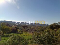 Terreno R�stico - Vila C�, Pombal, Leiria - Miniatura: 2/11