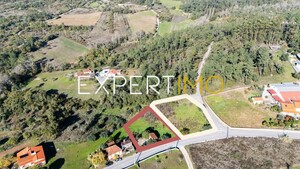Terreno R�stico - Vila C�, Pombal, Leiria - Miniatura: 3/11