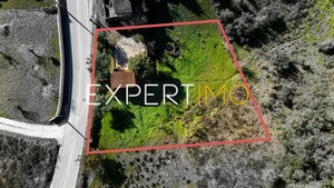 Terreno R�stico - Vila C�, Pombal, Leiria - Miniatura: 5/11