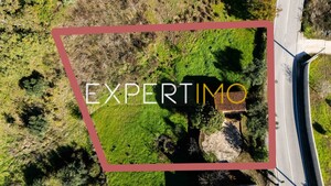 Terreno R�stico - Vila C�, Pombal, Leiria - Miniatura: 10/11