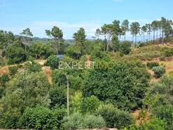 Moradia T2 - T�bua, T�bua, Coimbra - Miniatura: 27/29