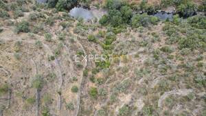 Terreno R�stico - Santana, Nisa, Portalegre - Miniatura: 3/15