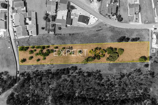 Terreno R�stico - Quiaios, Figueira da Foz, Coimbra - Imagem grande