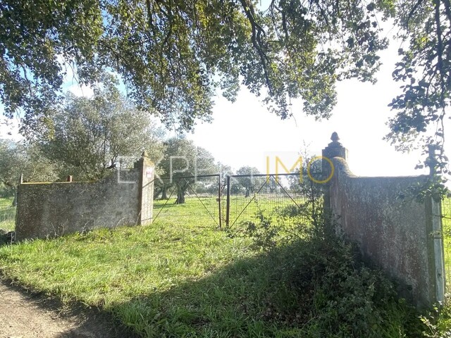 Outros T3 - Vale de Santar�m, Santar�m, Santar�m - Imagem grande