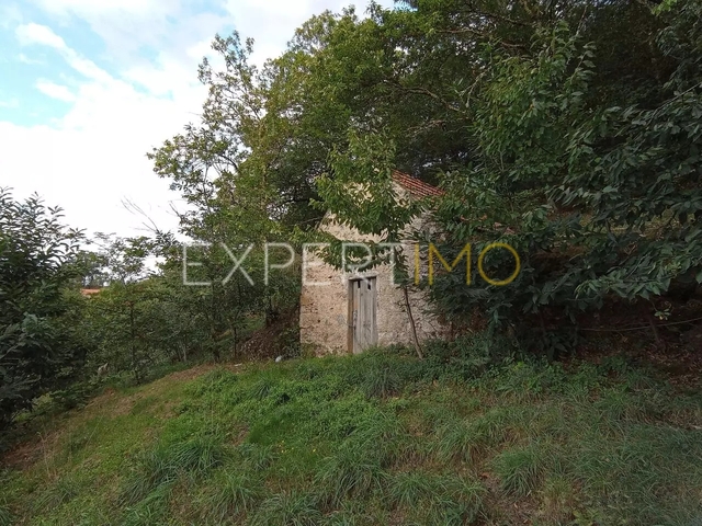 Terreno R�stico - S�o Rom�o, Seia, Guarda - Imagem grande