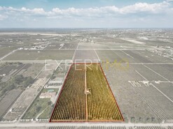 Terreno R�stico - N�o Definido, N�o Definido, N�o Definido