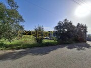 Terreno Urbano - Sangalhos, Anadia, Aveiro - Miniatura: 1/9