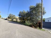 Terreno Urbano - Sangalhos, Anadia, Aveiro - Miniatura: 7/9