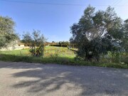 Terreno Urbano - Sangalhos, Anadia, Aveiro - Miniatura: 8/9