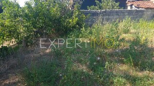 Terreno R�stico - N�o Definido, N�o Definido, N�o Definido - Miniatura: 6/13