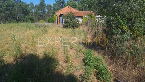 Terreno R�stico - N�o Definido, N�o Definido, N�o Definido - Miniatura: 7/13