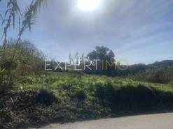 Terreno R�stico - N�o Definido, N�o Definido, N�o Definido - Miniatura: 11/11