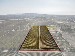 Terreno R�stico - N�o Definido, N�o Definido, N�o Definido - Miniatura: 3/14