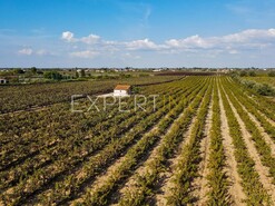 Terreno R�stico - N�o Definido, N�o Definido, N�o Definido - Miniatura: 11/14