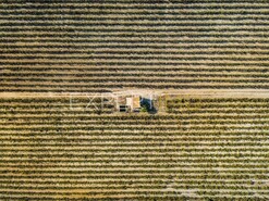 Terreno R�stico - N�o Definido, N�o Definido, N�o Definido - Miniatura: 12/12