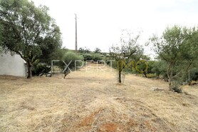 Terreno R�stico - N�o Definido, N�o Definido, N�o Definido - Miniatura: 6/9