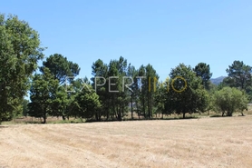 Terreno R�stico - N�o Definido, N�o Definido, N�o Definido - Miniatura: 9/10