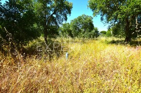 Terreno R�stico - N�o Definido, N�o Definido, N�o Definido - Miniatura: 9/13