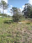 Terreno R�stico - N�o Definido, N�o Definido, N�o Definido - Miniatura: 1/3