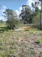 Terreno R�stico - N�o Definido, N�o Definido, N�o Definido - Miniatura: 2/3