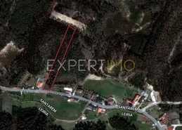 Terreno R�stico - N�o Definido, N�o Definido, N�o Definido - Miniatura: 5/5