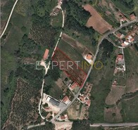 Terreno R�stico - Alvorninha, Caldas da Rainha, Leiria - Miniatura: 9/9