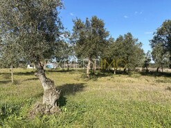 Outros T3 - Vale de Santar�m, Santar�m, Santar�m - Miniatura: 3/20