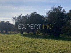 Outros T3 - Vale de Santar�m, Santar�m, Santar�m - Miniatura: 6/20