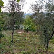 Terreno R�stico - S�o Rom�o, Seia, Guarda - Miniatura: 16/20