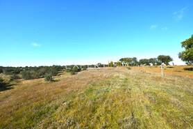 Terreno R�stico - Santa Cruz, Almod�var, Beja - Miniatura: 7/13
