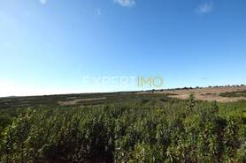 Terreno R�stico - Santa Cruz, Almod�var, Beja - Miniatura: 11/13