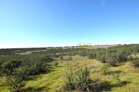 Terreno R�stico - Santa Cruz, Almod�var, Beja - Miniatura: 12/13