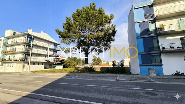 Terreno R�stico - Marinha Grande, Marinha Grande, Leiria - Imagem grande