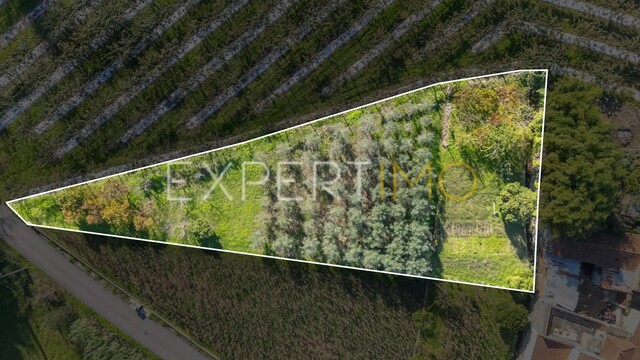 Terreno R�stico - Almalagu�s, Coimbra, Coimbra - Imagem grande