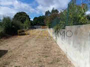 Terreno Rstico - Manique do Intendente, Azambuja, Lisboa - Miniatura: 3/9