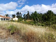 Terreno Rstico - Manique do Intendente, Azambuja, Lisboa - Miniatura: 6/9