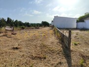 Terreno Rstico - Manique do Intendente, Azambuja, Lisboa - Miniatura: 9/9