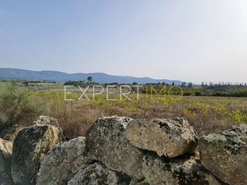 Terreno R�stico - N�o Definido, N�o Definido, N�o Definido - Miniatura: 3/8