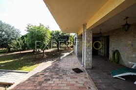 Moradia - N�o Definido, N�o Definido, N�o Definido - Miniatura: 8/29