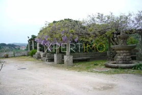 Hotel/Residencial - Abrunhosa-a-Velha, Mangualde, Viseu - Miniatura: 22/24