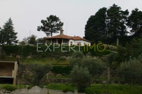 Hotel/Residencial - Abrunhosa-a-Velha, Mangualde, Viseu - Miniatura: 23/24