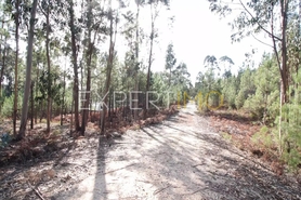 Terreno R�stico - N�o Definido, N�o Definido, N�o Definido - Miniatura: 2/4