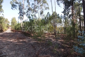 Terreno R�stico - N�o Definido, N�o Definido, N�o Definido - Miniatura: 4/4