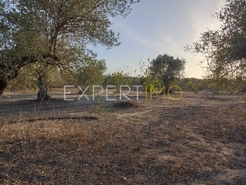 Terreno R�stico - N�o Definido, N�o Definido, N�o Definido - Miniatura: 4/24