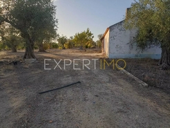 Terreno R�stico - N�o Definido, N�o Definido, N�o Definido - Miniatura: 5/24